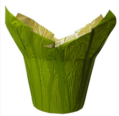 녹색 자연적인 크라프트지 종이 화분은 덮고/작은 실내 장식적인 화분